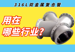 316L（中国）有限公司官网用在哪些行业?